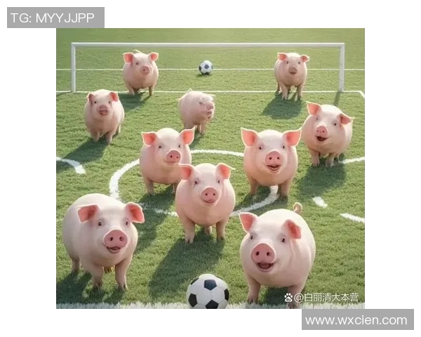 小猪足球的梦想之旅:勇闯绿茵场的快乐冒险与友谊故事